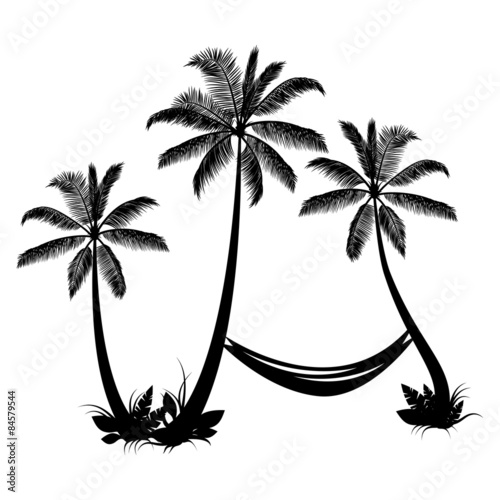 Palm trees with hammock isolated on white background