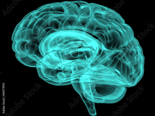 Concept of an Active Human Brain on a Dark Vector