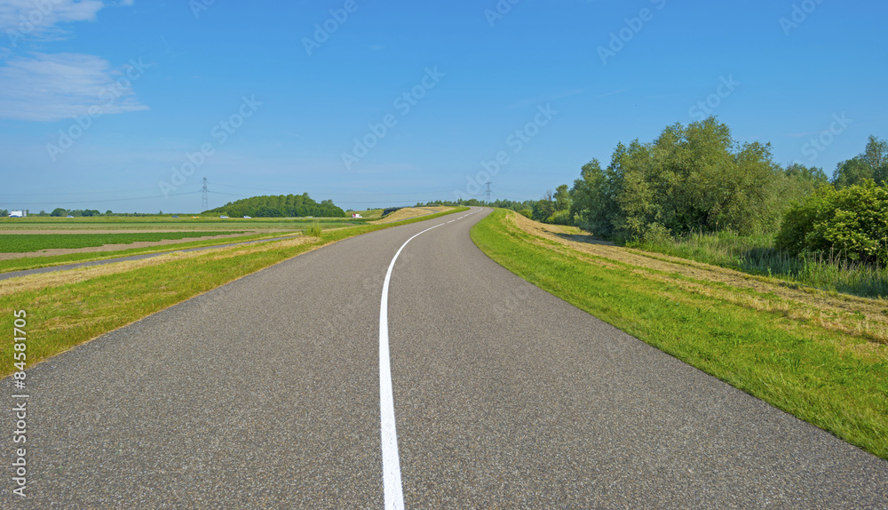 
Center line of an uphill roadway in spring