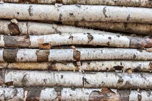 Background of the old birch logs
