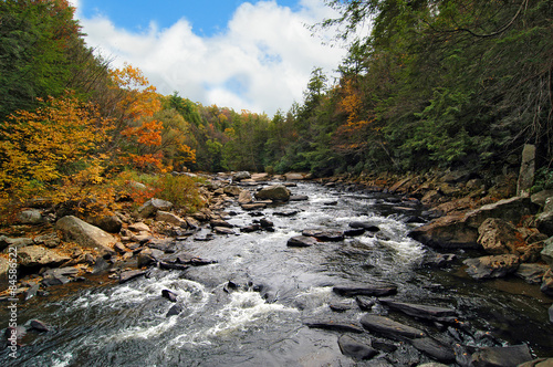 River in Wilderness in Autumn