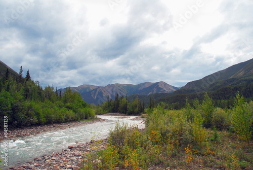 Wild Alaskan Mountain Stream