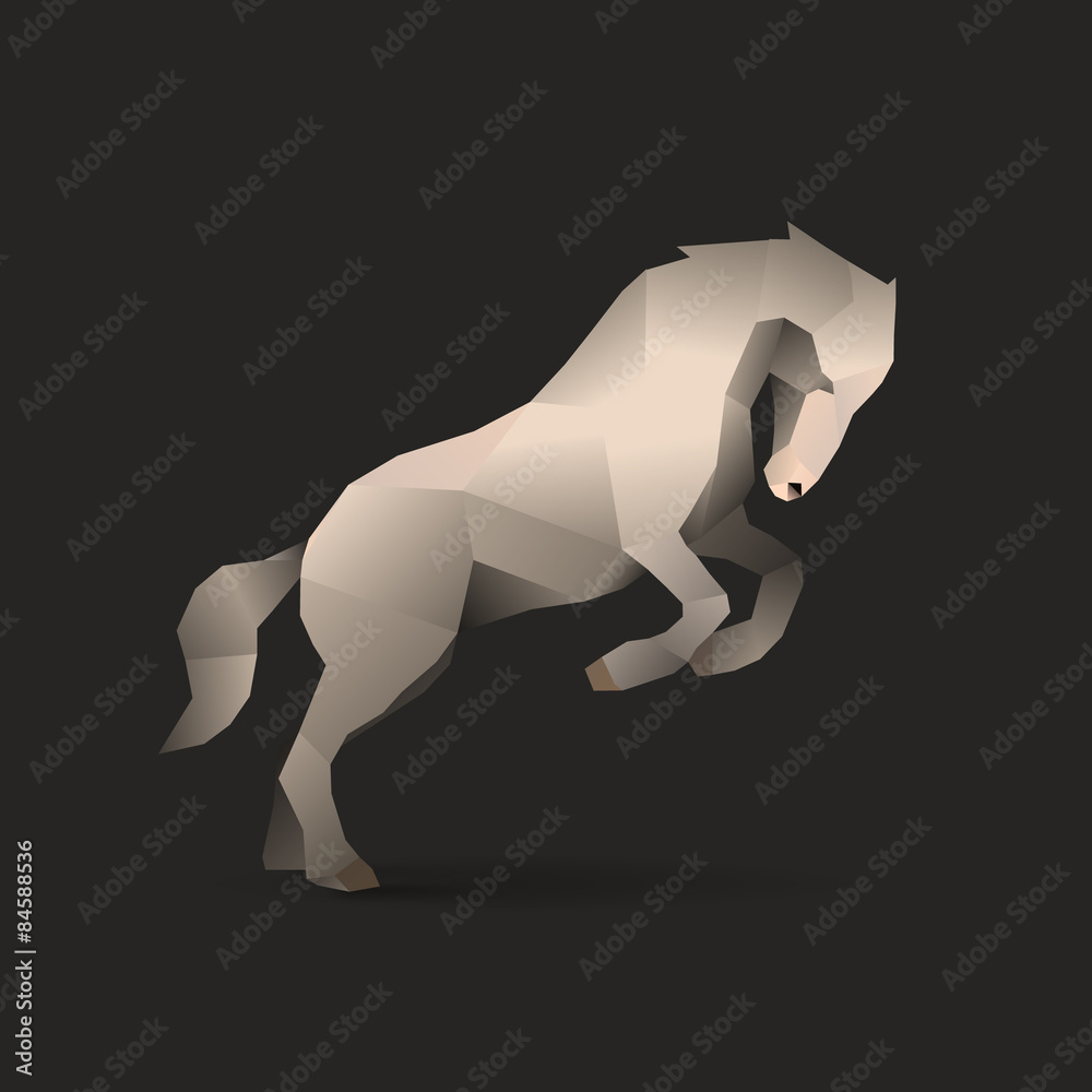 Fototapeta premium white horse