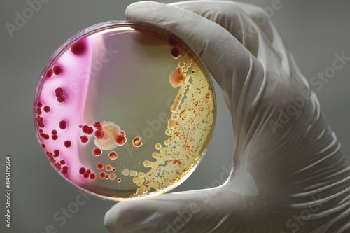 Fotobehang bacteria