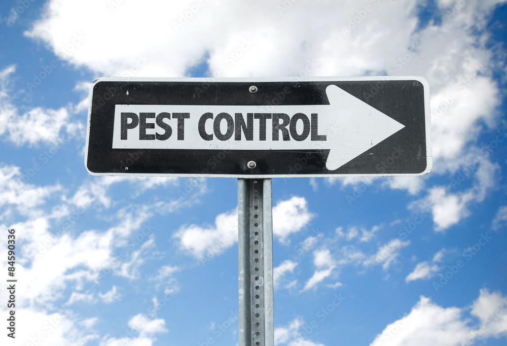 Pest Control direction sign with sky background Pest Control direction sign with sky background