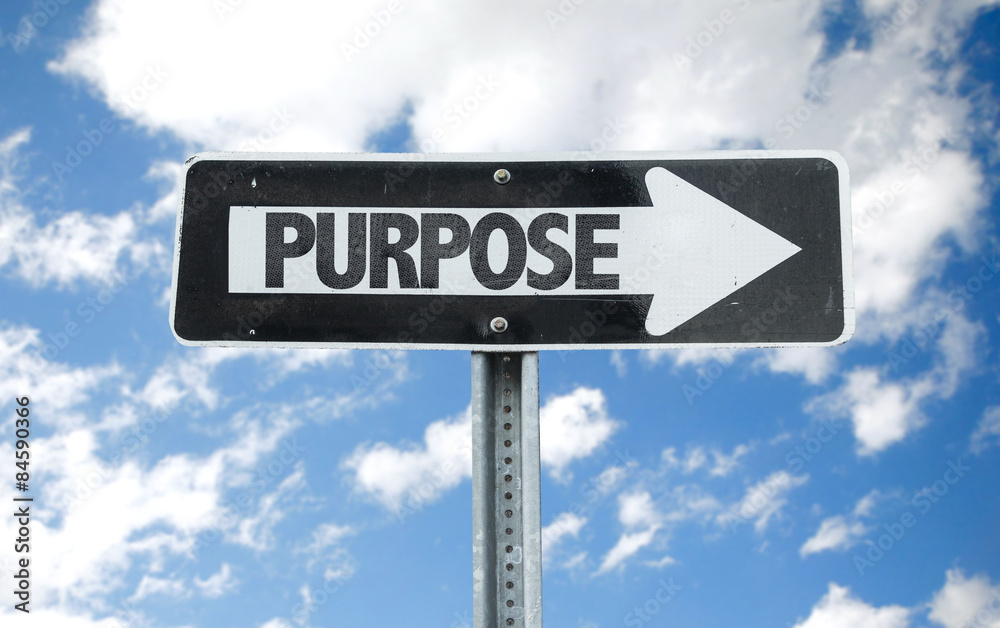 Purpose direction sign with sky background