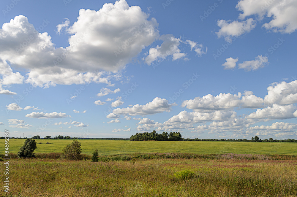 Green meadow with some trees and clouds in blue sky Green meadow with some trees and clouds in blue sky