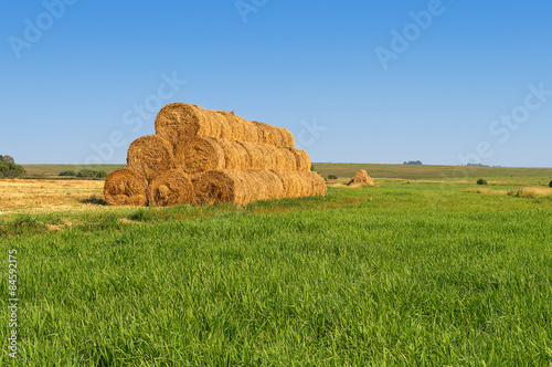 Yellow rick of hay on the meadow