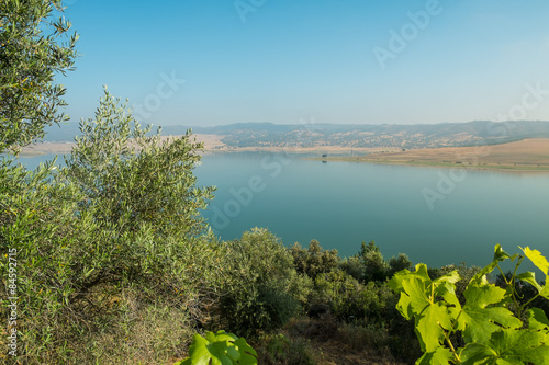 Andalusian landscape