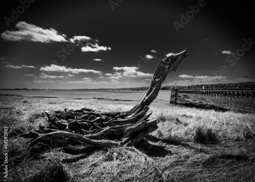 Old wooden pier at Sharpness © allouphoto