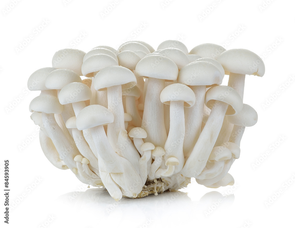 White Mushrooms With Brush Stock Photo - Download Image Now - Cleaning,  Edible Mushroom, Mushroom - iStock