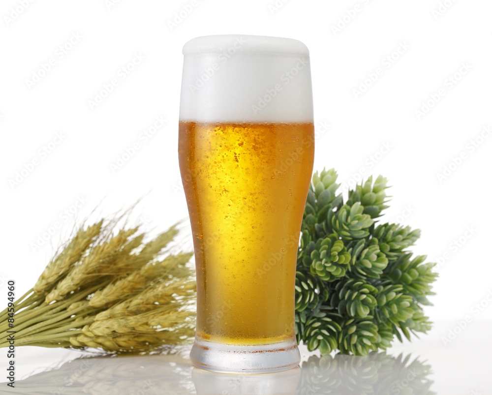 麦とホップとビール 白背景の上にホップと麦とグラスビールが並んでいる Stock Photo Adobe Stock 麦とホップとビール 白背景の上にホップと麦とグラスビールが並んでいる Stock Photo Adobe Stock