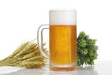 麦とホップとビール/白背景の上にホップと麦とグラスビールが並んでいる。