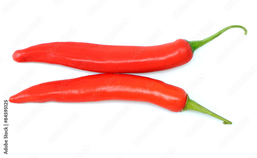 chili pepper isolated on a white background chili pepper isolated on a white background