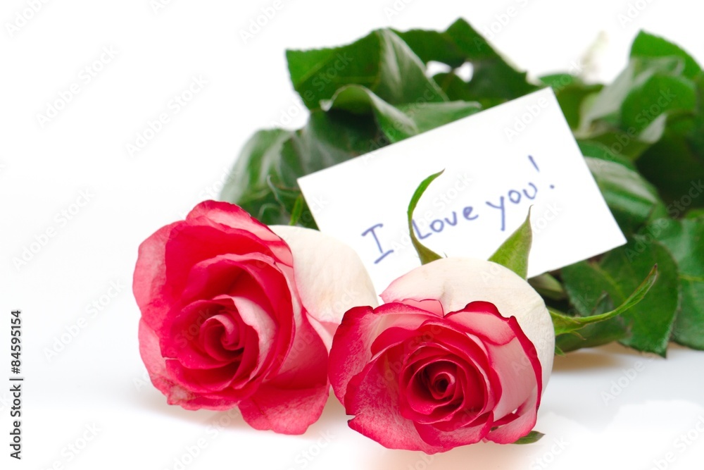 Fototapeta premium Rose, Pink, I Love You.