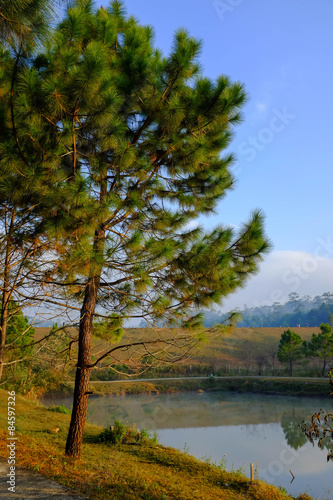 Beauty scene of nature on countryside