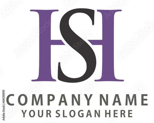HS logo Image vector