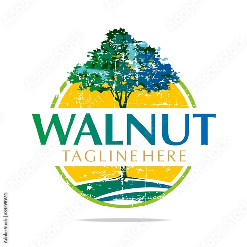 Logo Walnut Trees Hazelnut Freshness delicious