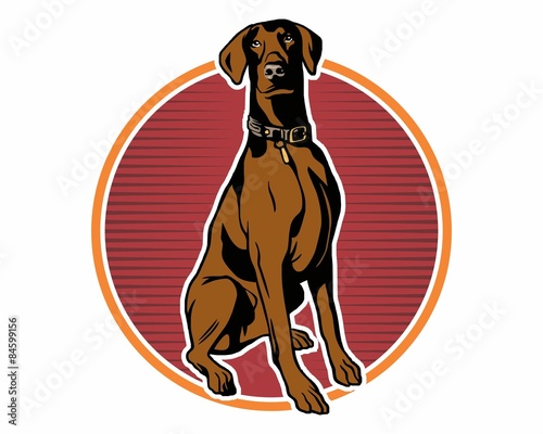 pet dog hound