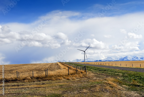 The Windy Road photo