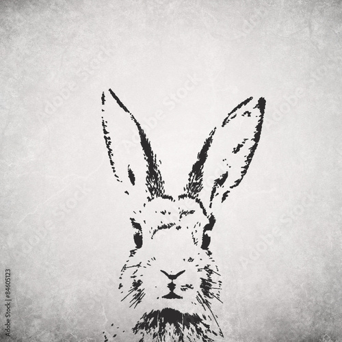 silhouette rabbit backround
