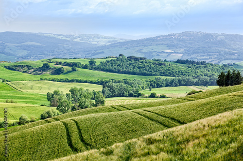 Spring landscape of fields Tuscany © Sławomir Fajer