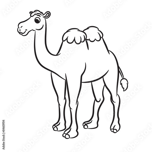 Cartoon illustration of cute camel outlined. Vector illustration.
