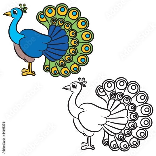 Illustration of peacock bird on a white background. Coloring book.
