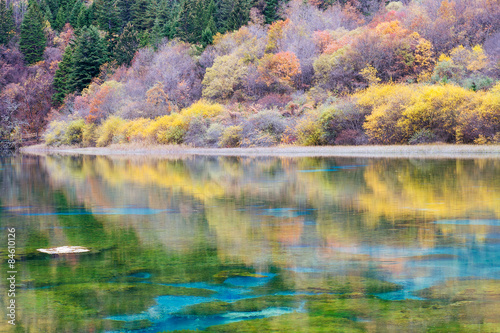 colorful water and forest in Jiuzhaigou