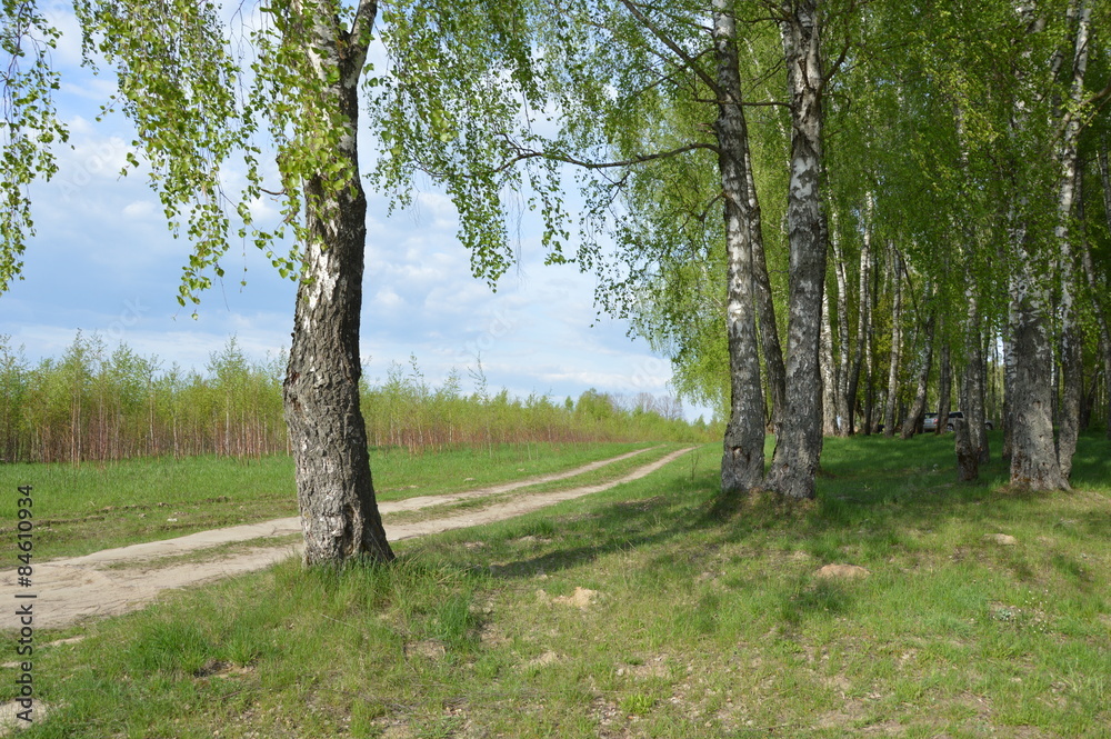 Obraz premium Весна на брянской земле