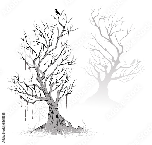 dead trees