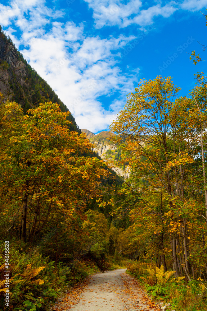 Autumn colorful landscape in the mountains . Autumn colorful landscape in the mountains .