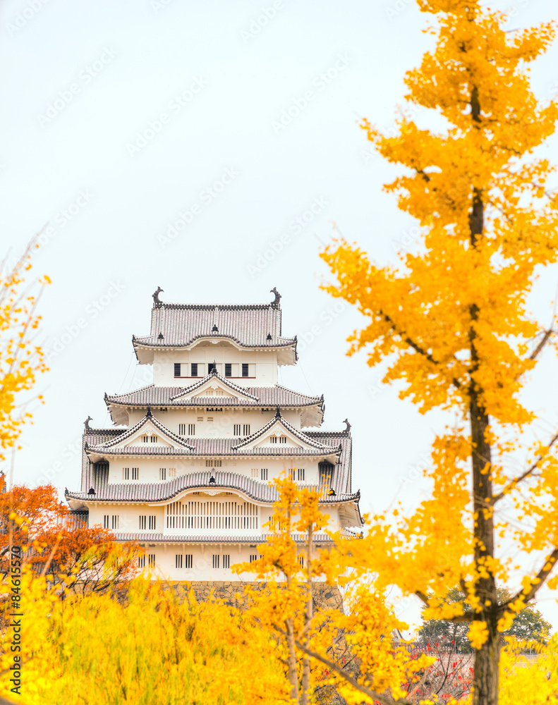 Fototapeta premium Himeji Castle, Japan.