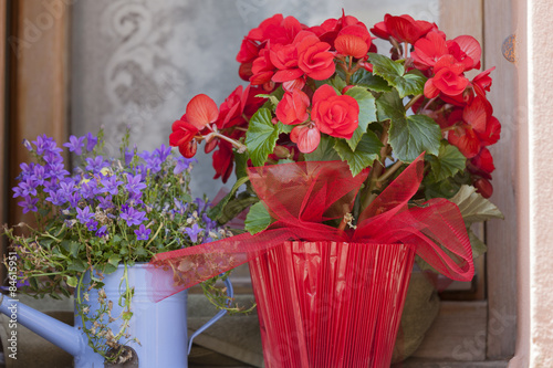 Fototapeta Naklejka Na Ścianę i Meble -  flower in the vase