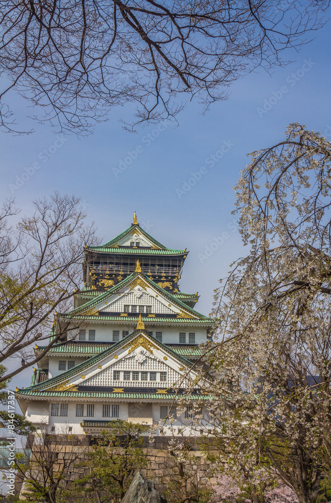 Fototapeta premium Osaka Castle in Japan