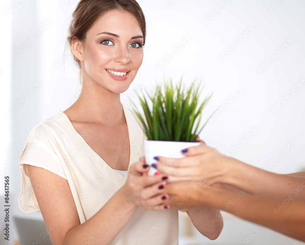 Beautiful woman holding pot with a plant, standing Beautiful woman holding pot with a plant, standing