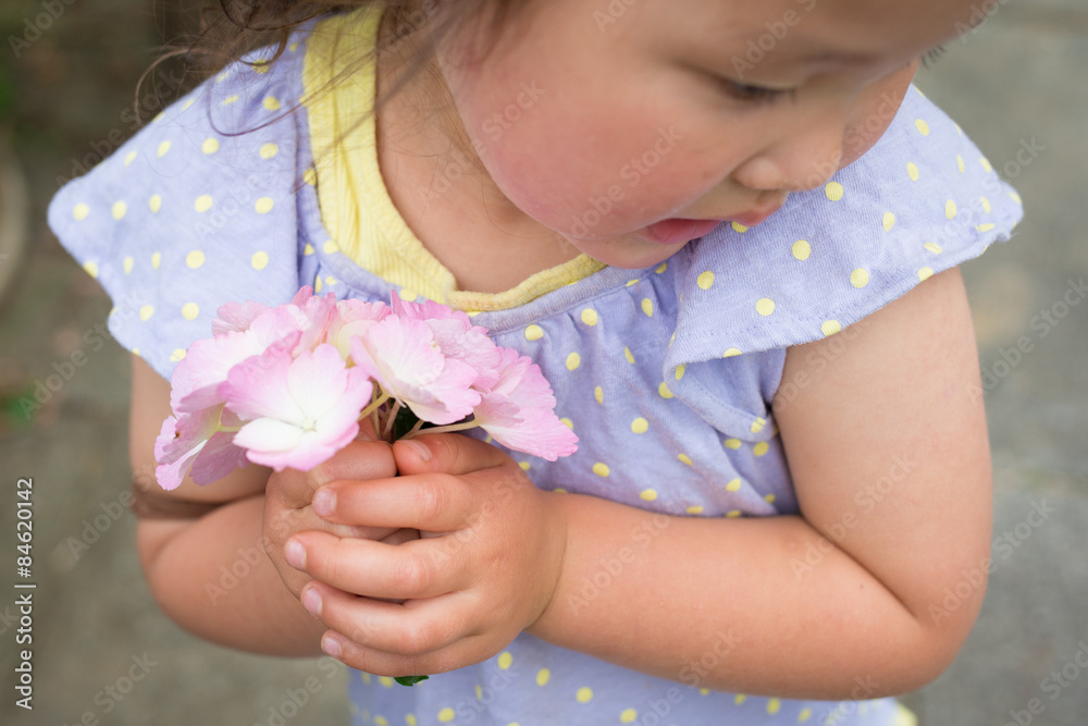 紫陽花の花を胸に抱える女の子 Stock Photo Adobe Stock 紫陽花の花を胸に抱える女の子 Stock Photo Adobe Stock