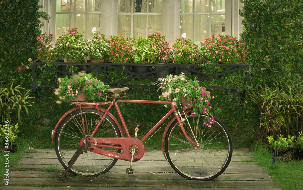 red bicycle with white window and garden background