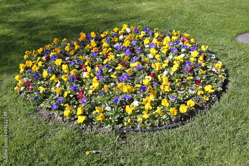 Flower Circle In The Park