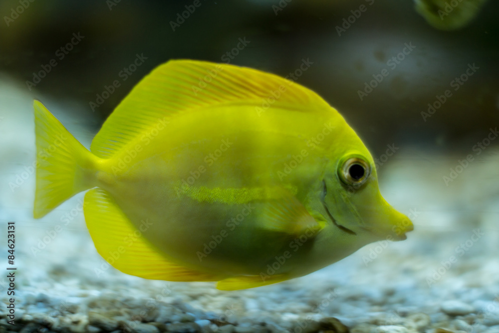 Sea Life Aquarium in Munich, Germany, 2015 Sea Life Aquarium in Munich, Germany, 2015
