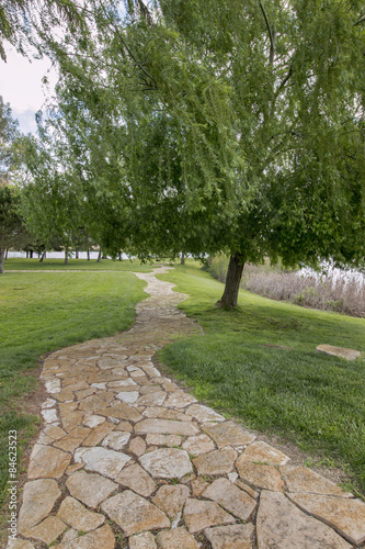 View of a beautiful stone path with trees and grass on a park.