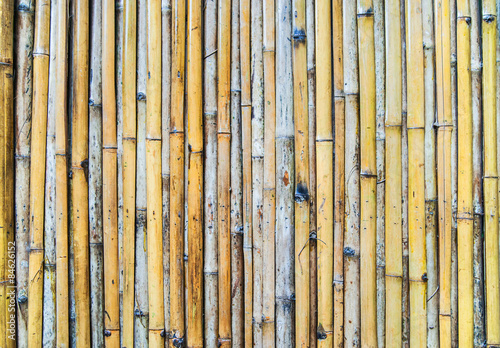 Natural bamboo background.