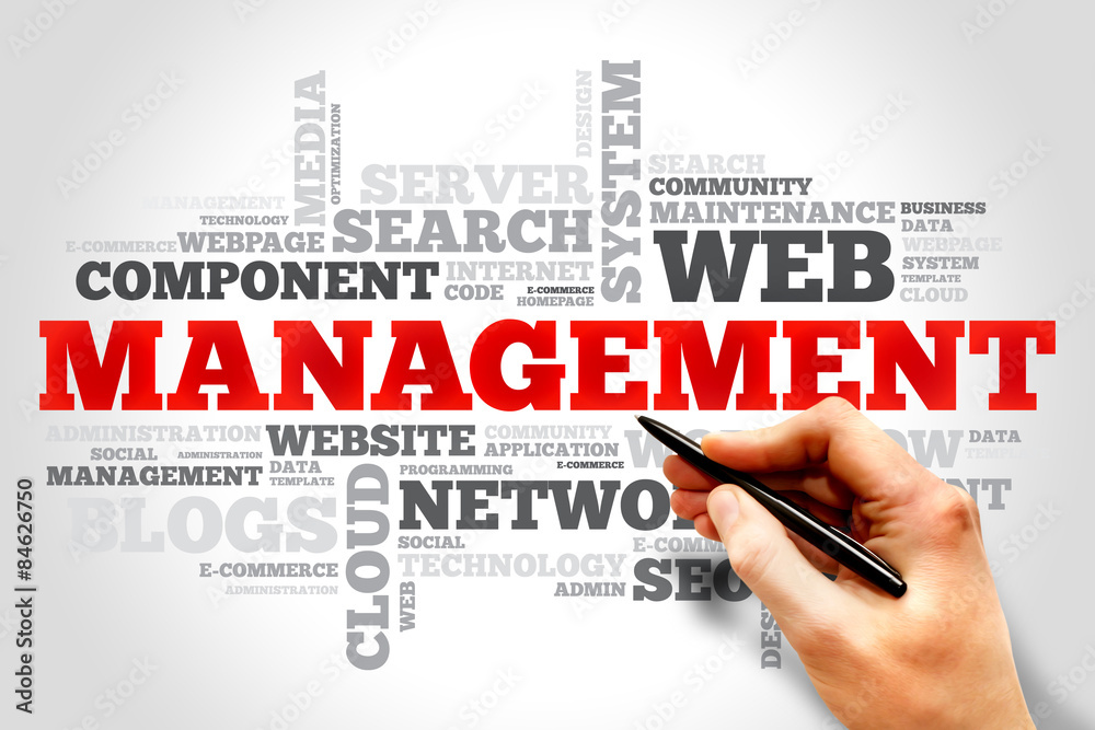 MANAGEMENT word cloud, business concept MANAGEMENT word cloud, business concept