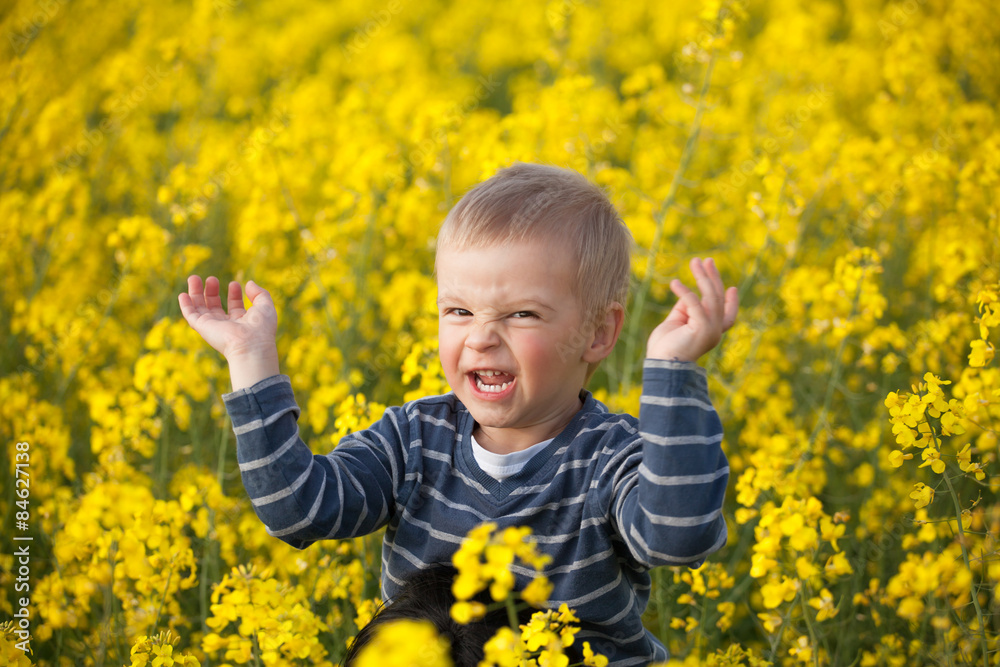 Little boy canola field. Little boy canola field.