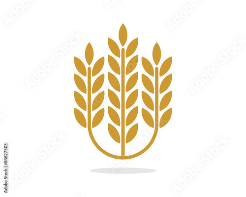 Wheat Farm