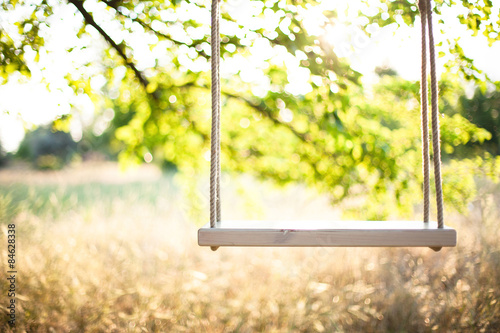 The swing