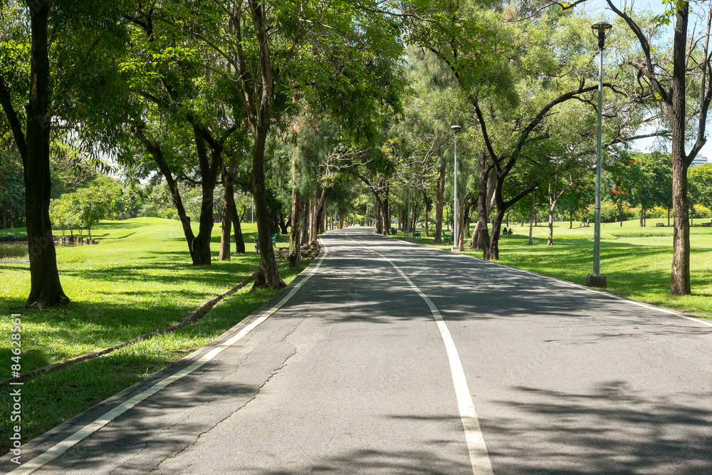 Road in city park at Vachirabenjatas Park (Rot Fai Park) Bangkok