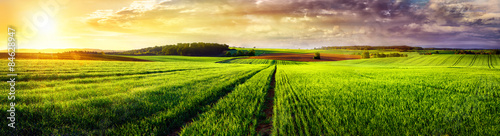 Rural landscape sunset panorama photo
