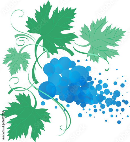 stylized vine branch with leaves, vector illustration