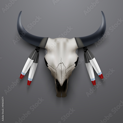 Indian totem animal skull and feathers